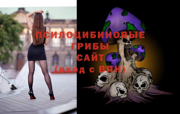 прущие крисы Елабуга