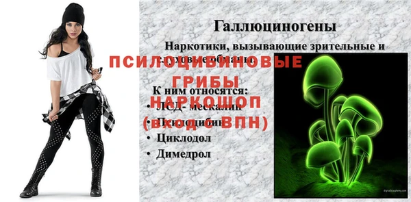 mdma Елизово
