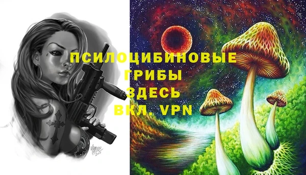 mdma Елизово