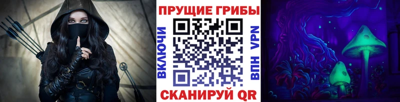 Псилоцибиновые грибы мицелий  Артём 