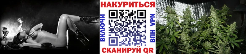 MEGA как войти  Артём  Канабис тримм 